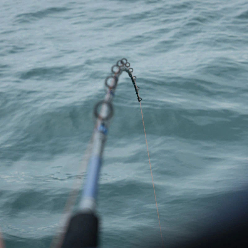 Daiwa Saltist Boat Rods - £164.99